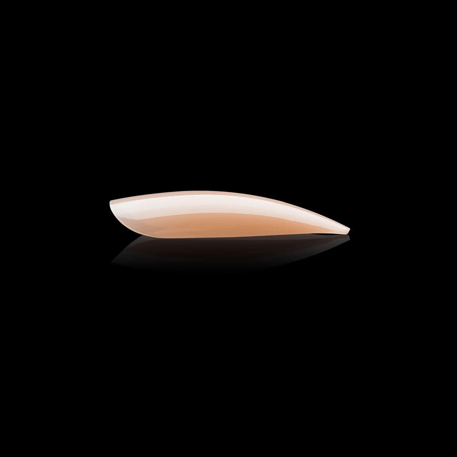 Apres Neutrals Alex Gel-X Tips (Natural Stiletto Medium) 150pcs Box - 11 Sizes