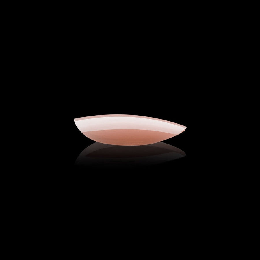 Apres Neutrals Lila Gel-X Tips (Natural Round Short) 150pcs Box - 11 Sizes